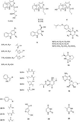 β-Carboline Alkaloids From the Deep-Sea Fungus Trichoderma sp. MCCC 3A01244 as a New Type of Anti-pulmonary Fibrosis Agent That Inhibits TGF-β/Smad Signaling Pathway